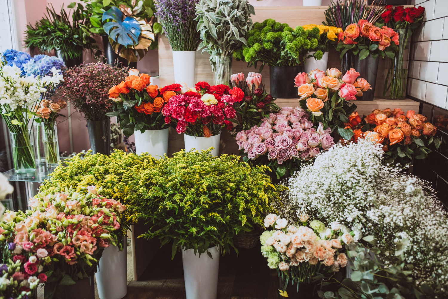 Floricultura Goiânia, Flores Goiânia – Floriza Online