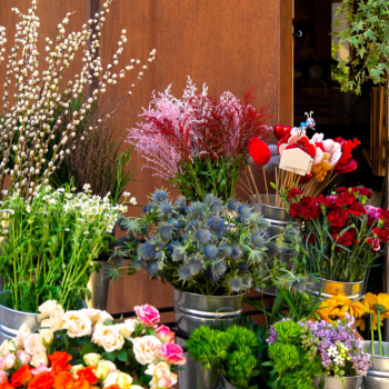 A Magia das Flores em Goiânia: Descobrindo as Melhores Opções na Floricultura Local