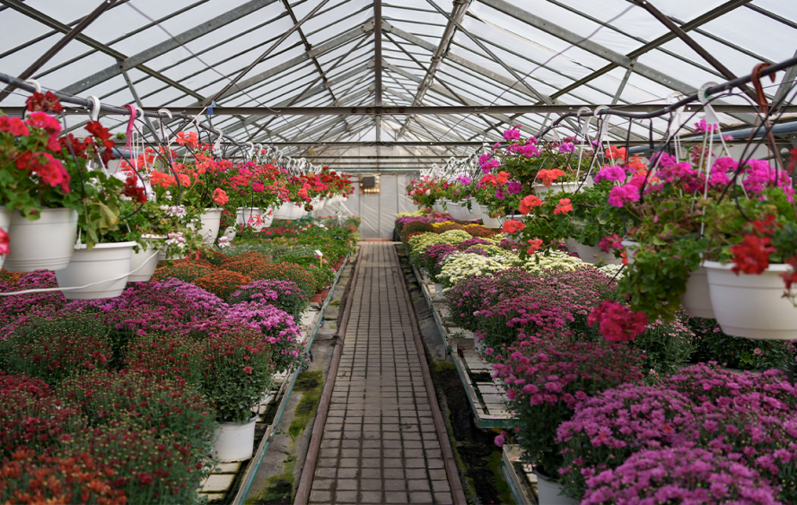 Floricultura em Urias Magalhães